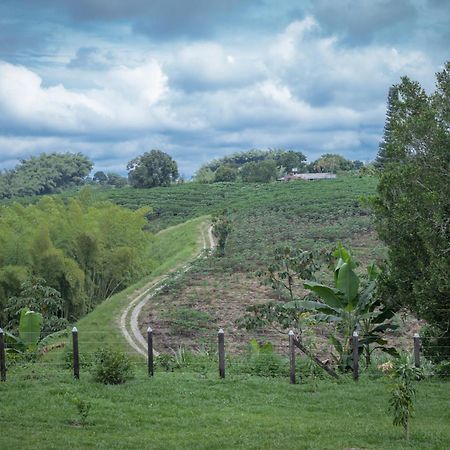 Finca Hotel Heron Quimbaya Eksteriør bilde